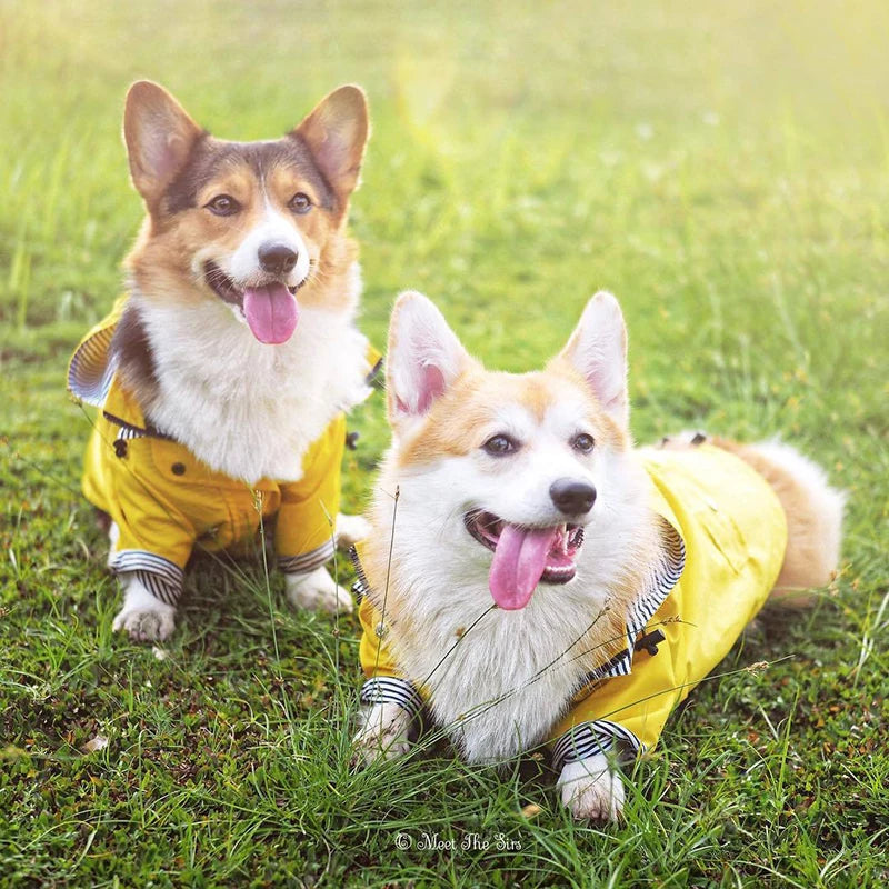 Pet Dog Coat Waterproof Jacket for Small Medium Large Dogs Cats Pet Raincoat Dog Sport Hoodies Popa Perro Pet Fashion Clothes
